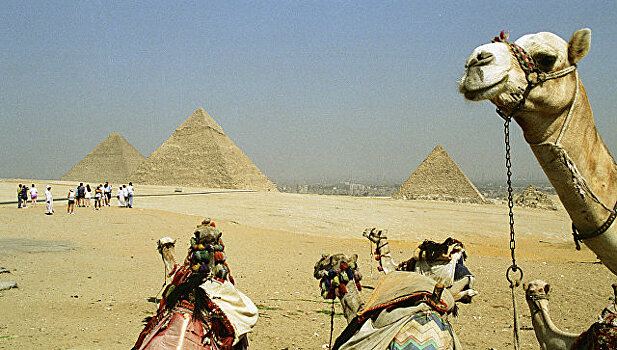 Египетским торговцам запретят приставать к туристам