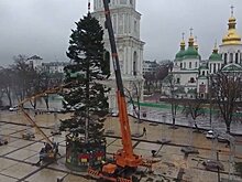 В Киеве нашли выход из ситуации с «лысой» главной елью