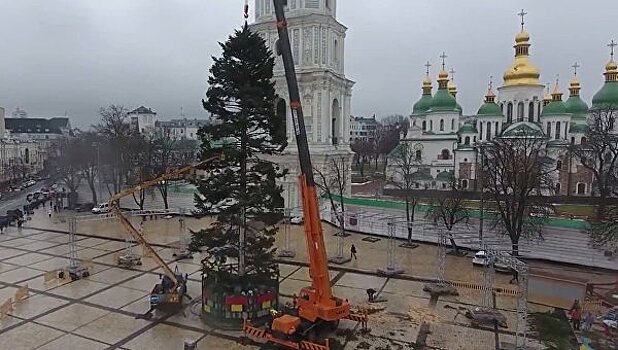 В Киеве нашли выход из ситуации с «лысой» главной елью