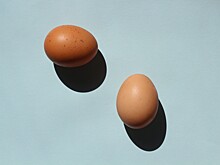 Владельцы птицефабрик попросили ФАС проверить цены на яйца в магазинах