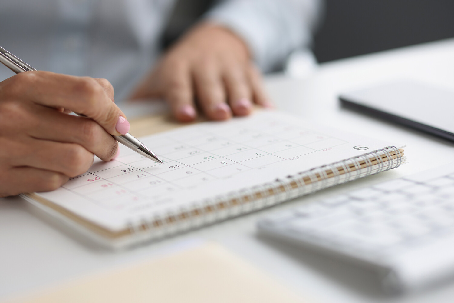 �������&nbsp; �����: ��������� ������� ���� ����� ���� ������� �����������