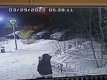 Вандал нарисовал свастику на здании приемной депутата Бондаренко в Новосибирске