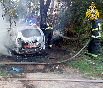 Поджигатели спалили Renault Duster в Калуге