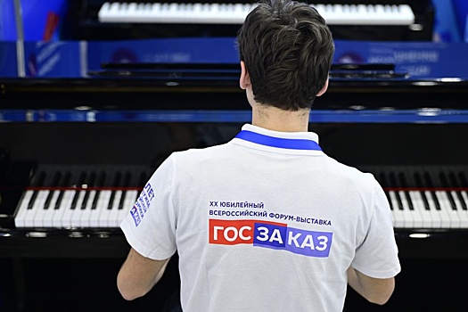 Пианино предложили внести в число продукции с требованиями национального режима