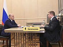 «Идёт по плану». В Госдуме оценили темпы приватизации в России