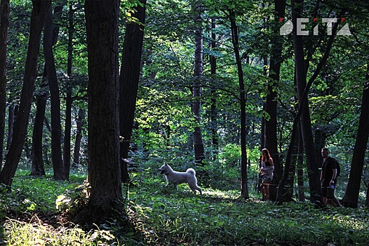 Лето возвращается: Приморье ждет жара и солнце в начале сентября