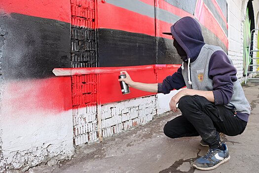 В Подмосковье обсуждают возможное применение стрит-арта во время капремонта домов