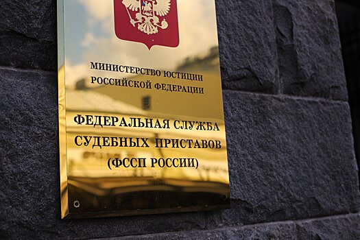 Способы взаимодействия с судебными приставами Подмосковья