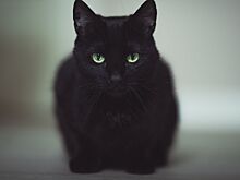 Пятница, 13-е: почему все боятся этого дня