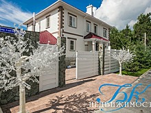 Хоромы напрокат: под Новосибирском нашёлся дом с фонтаном и баром почти за 300 тысяч в месяц