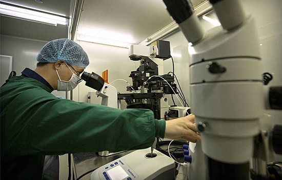 Черная плесень оказалась опасна для астронавтов