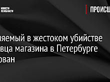 Обвиняемый в жестоком убийстве продавца магазина в Петербурге арестован