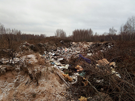 Рязанские чиновники отчитались об уборке мусорного полигона, засыпав отходы песком