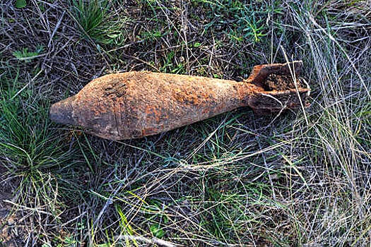 В Крыму нашли пять мин и артиллерийский снаряд
