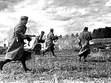 Небывалый урожай грибов и другие знaмения, которые случились в СССР перед началом войны