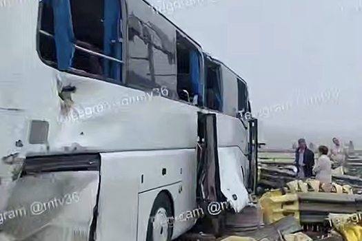 МВД: причиной ДТП с автобусом в Тульской области мог быть сильный туман