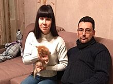 В Кургане предприниматель пострадал от «прослушки» силовиков