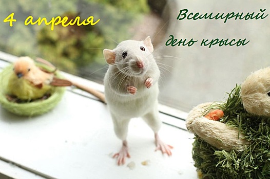 Этот день в календаре. 4 апреля.