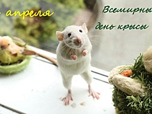 Этот день в календаре. 4 апреля.