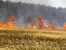 В центральных районах Кубани прогнозируют чрезвычайную пожароопасность