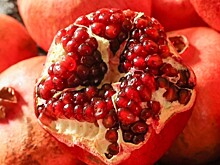 Опасная муха-вредитель прибыла с фруктами в морской порт Новороссийска