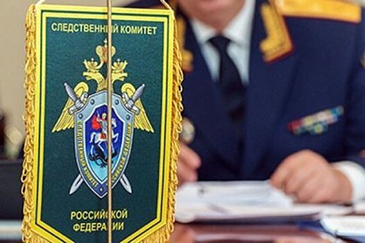 В Одинцово СК возбудил уголовное дело по факту уклонения от уплаты налогов на сумму более полумиллиарда рублей