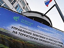 На "дальневосточный гектар" поступило более 1,4 тысячи заявок за полдня