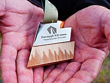 Вологжане признаны лесорубами XXI века