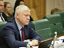 Депутат Пискарев назвал заявления Мерца в Вашингтоне возмутительными
