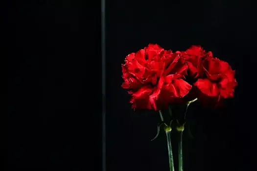 Сотрудничала с Римасом Туминасом: умерла заведующая музыкальной частью Театра Вахтангова Татьяна Агаева