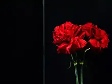 Сотрудничала с Римасом Туминасом: умерла заведующая музыкальной частью Театра Вахтангова Татьяна Агаева