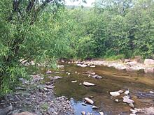 Берег еще одной реки очистили в регионе