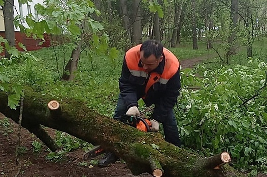 12 мая ураган повалил в Савёлках три дерева