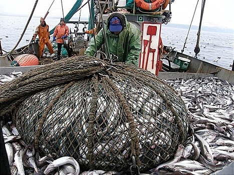 В Сахалинской области подвели итоги лососёвой путины 2018 года