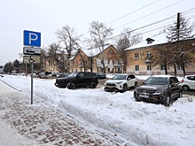 В Ярославской области не будут отменять оплату парковок в снегопады