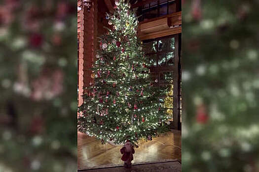 Актриса Юлия Высоцкая опубликовала фото новогодней елки в загородном доме