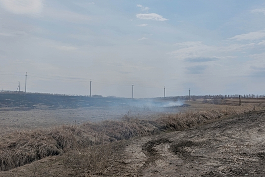 В Ульяновской области потушили ещё девять травяных пожаров
