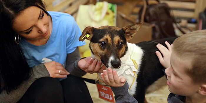 Выставка, где бездомные собаки ищут хозяев, открылась в Москве
