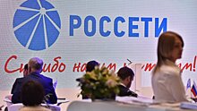 "Россети" получат 1,2 млрд бюджетной субсидии в 2017 году