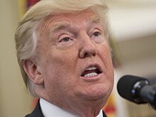 Трамп назвал оружием лоббистов "фейковые" публикации о себе в Washington Post