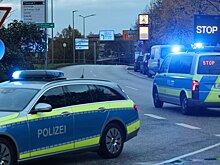 Стало известно о подготовке нападения на Шольца и Меркель