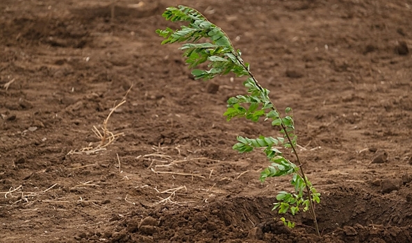 В Волгоградской области завод нанес ущерб почвам на 50 млн рублей