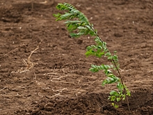 В Волгоградской области завод нанес ущерб почвам на 50 млн рублей