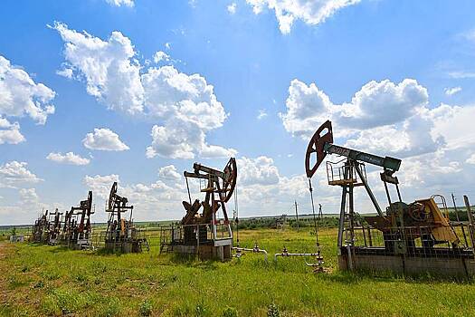 Минэк спрогнозировал снижение поставок российского газа