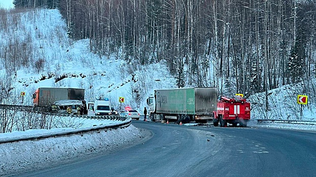В Иркутской области микроавтобус столкнулся с грузовиками, ранены 12 человек