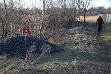 На Украине участились случаи подрыва мирных жителей на минах ВСУ