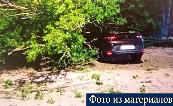 В Курске с комитета городского хозяйства взыскали полмиллиона за упавшее на авто дерево