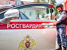 Принят закон о реформе службы в Росгвардии и запрете на размещение фото для ее сотрудников