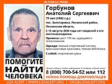 Под Пензой пропал 77-летний мужчина