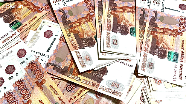 Законопроект о возврате похищенных с банковских счетов денег приняли в Госдуме